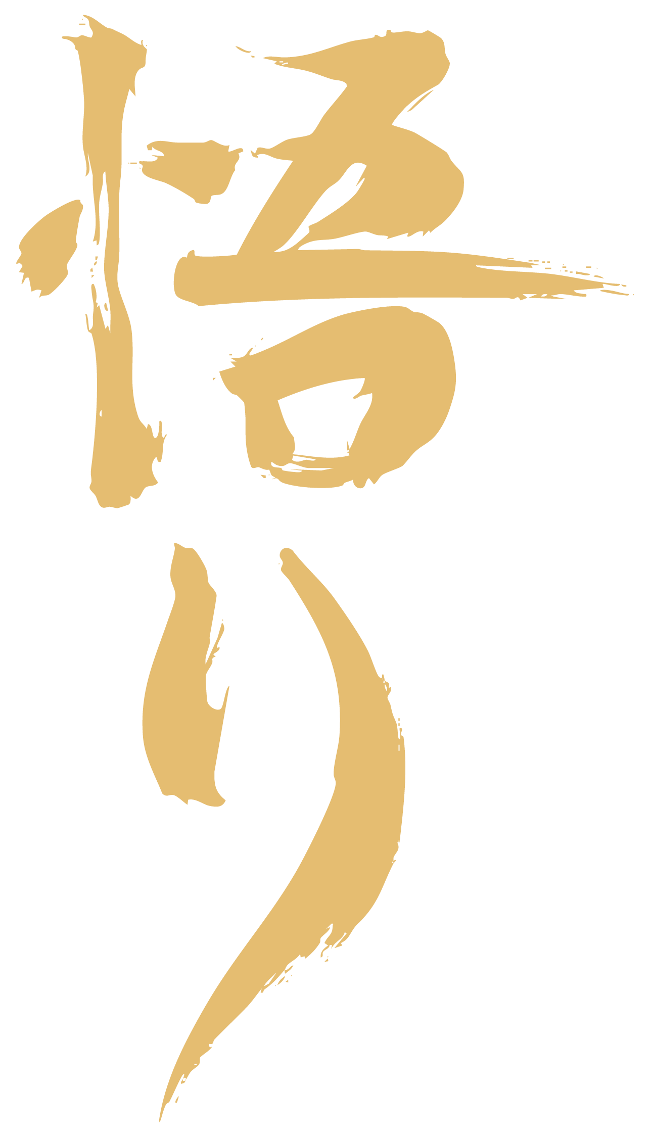Satori Wellness